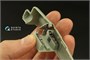QD48399  декали  3D Декаль интерьера кабины F8F-2 Bearcat (Academy)  (1:48) 2000002158707