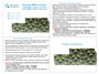 QL72006  декали  Германский WWI 4-цветный Лозенг (верхние поверхности)  (1:72) 2000002151494