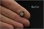 QP48019  декали  3D Декаль Складное брезентовое ведро армии США (для любых моделей)  (1:48) 2000002137139