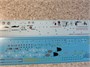 UR48194  декали  F-117A Nighthawk "Desert Storm Pt.2 with stencils  (1:48) 2000002140320
