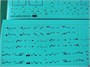 UR48250  декали  С-27/27SM/30M2 Flanker stencils  (1:48) 2000002140832