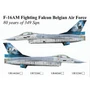 UR48260  декали  F-16AM Fighting Falcon BAF 80 Years 349 Sqn.  (1:48) 2000002140931