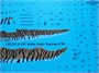 UR7231  декали  F-15E Strike Eagle Tigermeet'98, with stencils  (1:72) 2000002141983