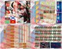 DMS-06007  дополнения из бумаги  Сирия  (1:35) 2000000259062