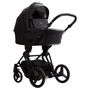 Коляска 2 в 1 Bebetto MONTI PRO 0784116064