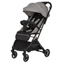 Коляска прогулочная Indigo ONYX 01103577908