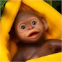 Люлька Magic Manufactory БАНАН для игрушки Обезьяна (24 см), коллекция Magic Animals 0356443524