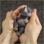 Игрушка Носорог (11 см) коллекция «POP Nuts» 531545052
