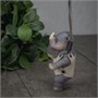 Игрушка Носорог (11 см) коллекция «POP Nuts» 531545052