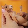 Игрушка "Верблюд" (16 см) коллекция "Magic Pets" 01607744243