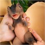 Игрушка "Динозавр Тираннозавр" (22 см) коллекция "Magic Dino" 0683297199