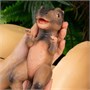 Игрушка "Динозавр Тираннозавр" (22 см) коллекция "Magic Dino" 0683297199