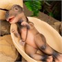 Игрушка "Динозавр Тираннозавр" (22 см) коллекция "Magic Dino" 0683297199