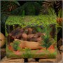 Игрушка "Динозавр Трицератопс" (24 см) коллекция "Magic Dino" 01052700071