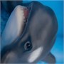 Игрушка "Косатка с косатёнком" (18 см, 8 см) коллекция "Magic Ocean" 968934075