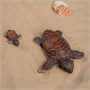 Игрушка "Черепаха с черепашонком" (15 см, 5 см) коллекция "Magic Ocean" 2120335961