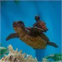 Игрушка "Черепаха с черепашонком" (15 см, 5 см) коллекция "Magic Ocean" 2120335961