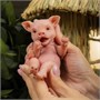 Игрушка "Свинья" (16 см.) коллекция "Magic Pets" 1477998099