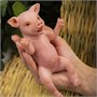 Игрушка "Свинья" (16 см.) коллекция "Magic Pets" 1477998099