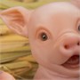 Игрушка "Свинья" (16 см.) коллекция "Magic Pets" 1477998099