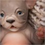 Игрушка щенок "Бульдог" (15 см.) коллекция "Magic Pets" 847434571