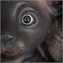 Игрушка котёнок "Сфинкс" (18 см.) коллекция "Magic Pets" 2045069858