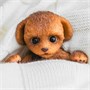 Игрушка щенок Пудель (18 см) коллекция "Magic Pets" 0932185407