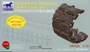 AB3526  траки наборные  PZH2000 SPG Workable Track Link Set (1:35) 4544032672850