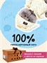 Мягкая игрушка Кот Басик 19 см в пижаме Оригинал Подарок 10900491