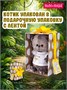 Кот Басик BABY в шапке тигренка 20 см (Budibasa) 702685305