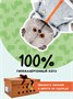 Мягкая игрушка Кот Басик в толстовке дракончик 19 см 114426607