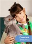 Мягкая игрушка Кот Басик 19 см в клубной куртке Оригинал 13804750
