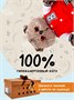 Мягкая игрушка Кот Басик 19 см в клубной куртке Оригинал 13804750
