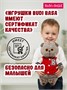 Кот Басик 19 см в клубной куртке (ОРИГИНАЛ) 320006893
