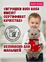 Кот Басик в клубной куртке 25 см 702739036