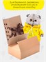Кот Басик в спортивном костюме 19 см Мягкая игрушка ОРИГИНАЛ 239094115
