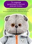 Кот Басик в толстовке 19 см Мягкая игрушка ОРИГИНАЛ 234172290