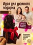 Мягкая игрушка Кофейный кот Доппио, 30 см, плюшевая подушка 250702108