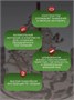 Механическая музыкальная сборная модель Лесная карусель 605974369