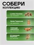 Механическая музыкальная сборная модель Лесная карусель 605974369