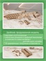 Сборная деревянная 3D модель Винтовка Fusion X 696107588