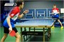 Стол теннисный Champion World Cup 60-800-3