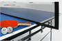 Стол теннисный Olympic с сеткой и набором Синий 6021-3