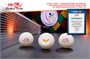 Мячи для н/т Double Fish V40+ 3 star WTT (6шт.) V111F2