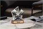 Стела Star Wood, в подарочной коробке 13095.01