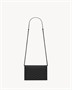 Сумка на цепочке с украшением CASSANDRE Saint Laurent, черный 35284027