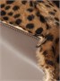 LOEWE, коричневый 47357662
