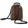 Рюкзак Louis Vuitton Palm Springs Mini Monogram, коричневый 1451240