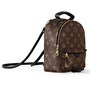 Рюкзак Louis Vuitton Palm Springs Mini Monogram, коричневый 1451240