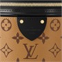 Сумка Louis Vuitton Cannes Monogram, коричневый 1451577
